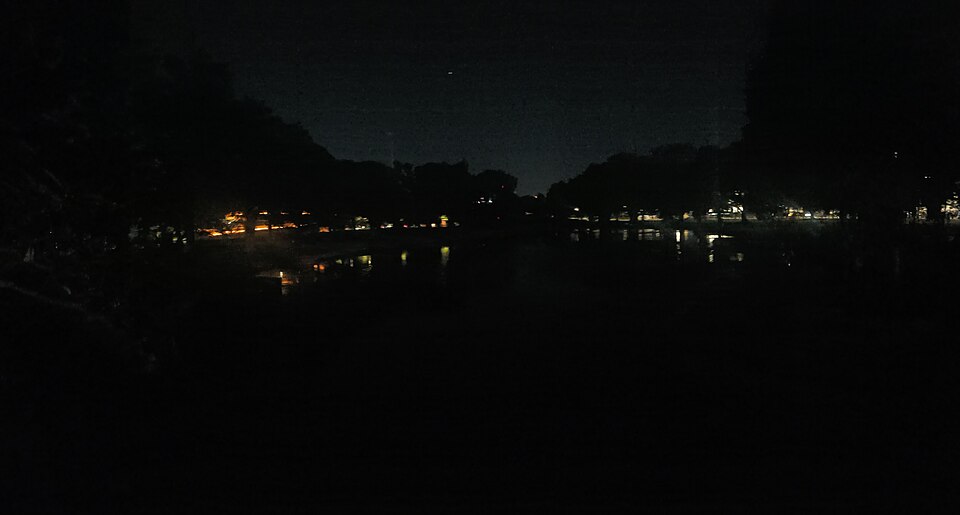 Kippax Lake, Moore Park, Sydney - 2025 2b