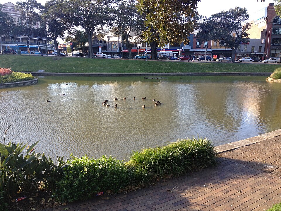 Creepy Ducks, Victoria Park Pond