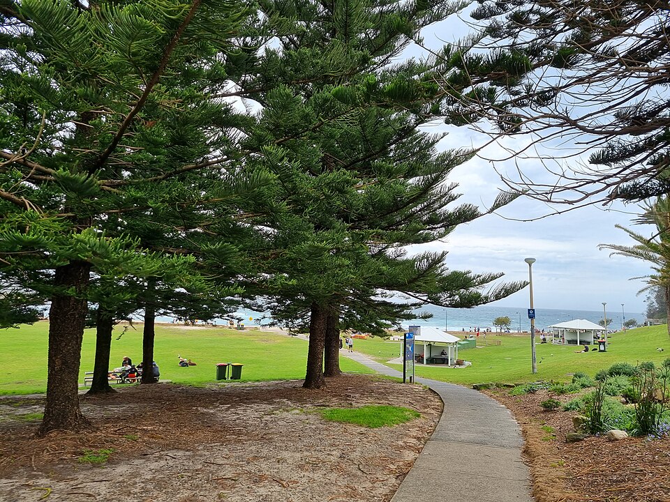2022-10-22 Bronte Park, Bronte, New South Wales